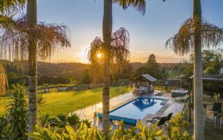 Three palm trees in the foreground and a long, rectangular pool with a grassy area and a hot tub in the background