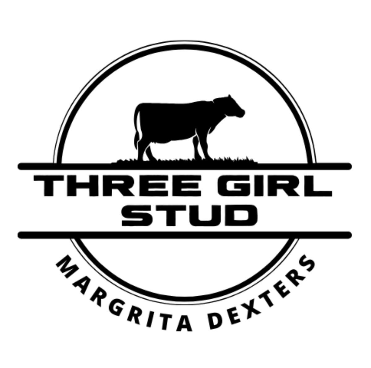 Three Girl Stud Margrita Dexters Logo with a black cow graphic and thick black text