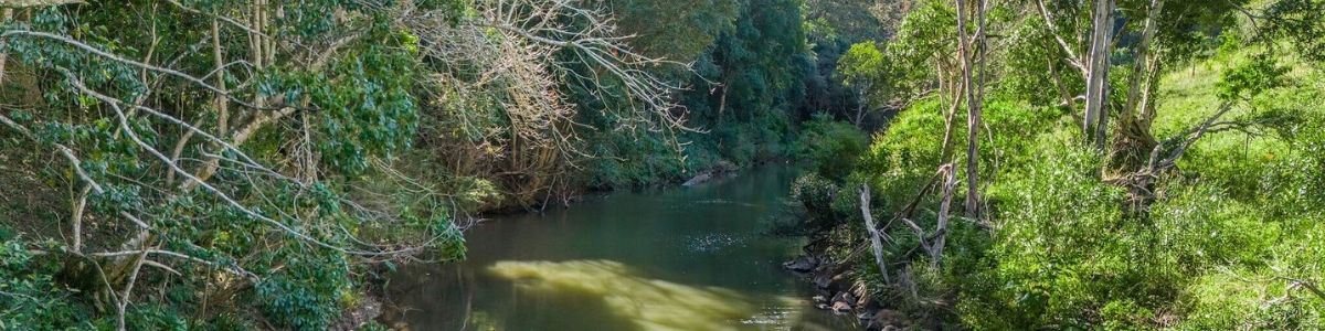 CF Bush Banner Regen bush regeneration projects at Cromwell Farms